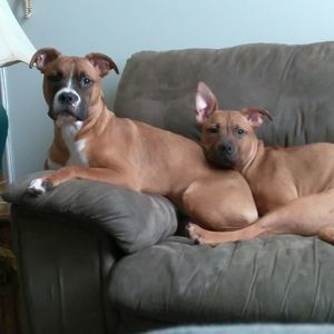 Meet your Posher, Brian